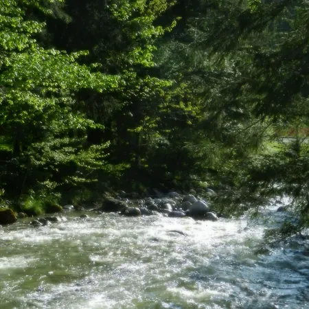 Appartamento Saalachtal *