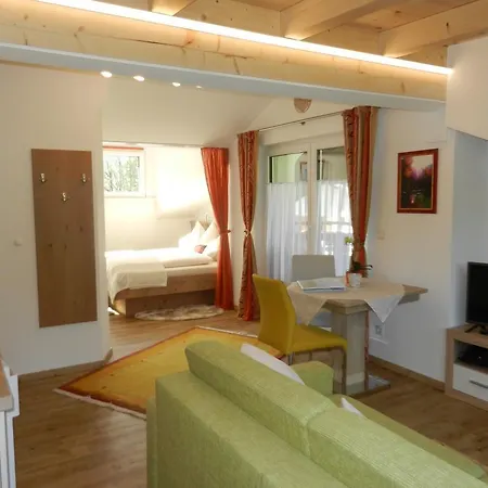 Appartamento Saalachtal Lofer