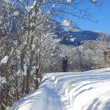 Appartement Saalachtal Lofer