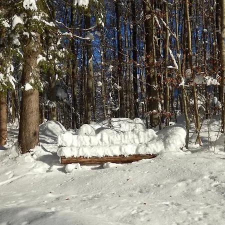 Appartamento Saalachtal Lofer