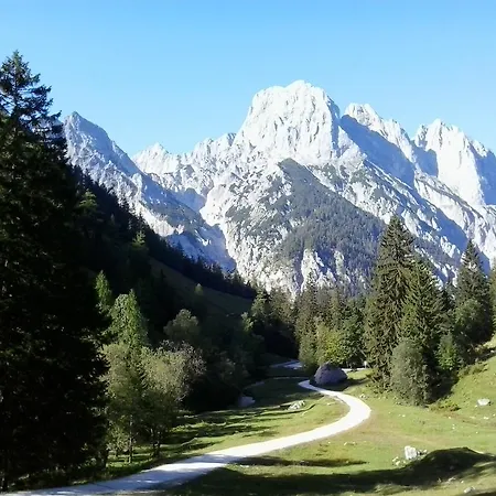 Apartament Saalachtal