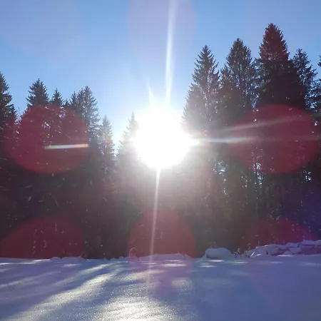 Lägenhet Saalachtal Lofer