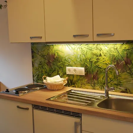 Appartamento Saalachtal *