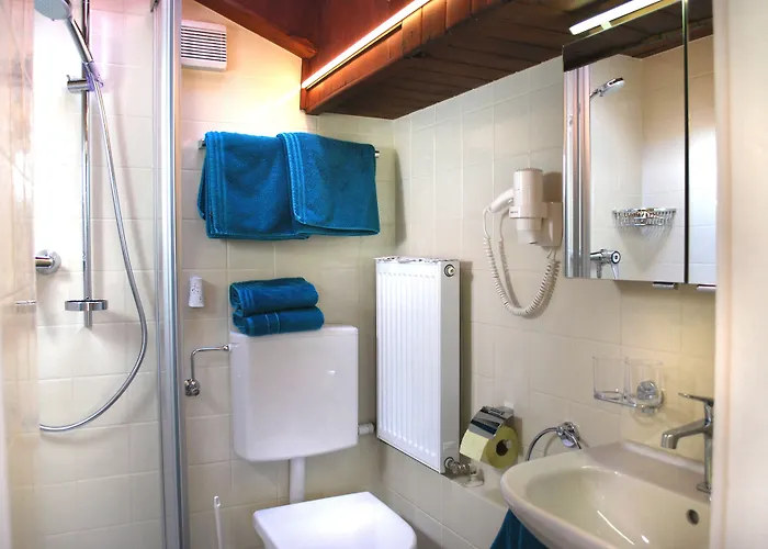 Apartament Saalachtal