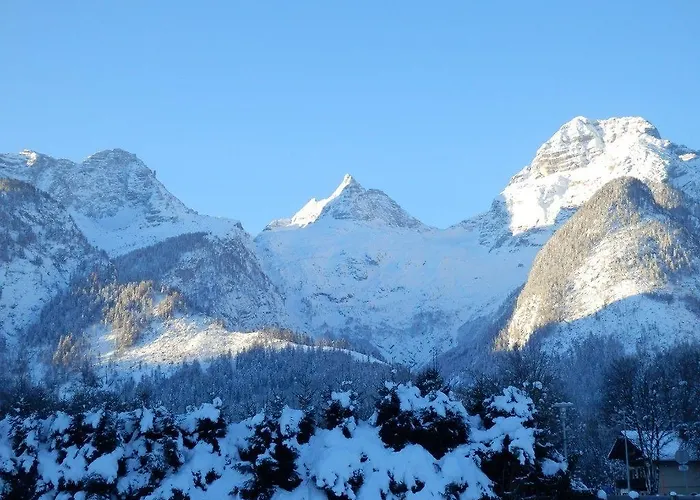 Apartament Saalachtal Lofer