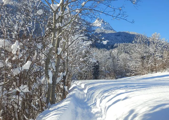 Apartament Saalachtal Lofer