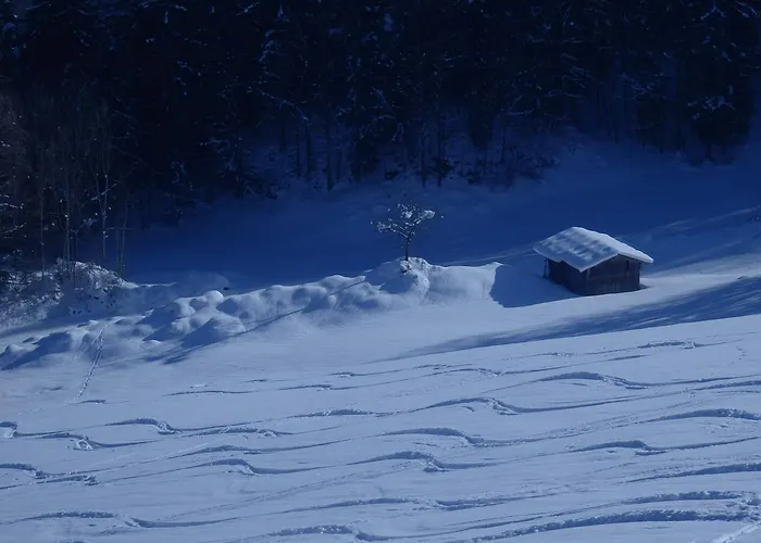 Saalachtal Apartament