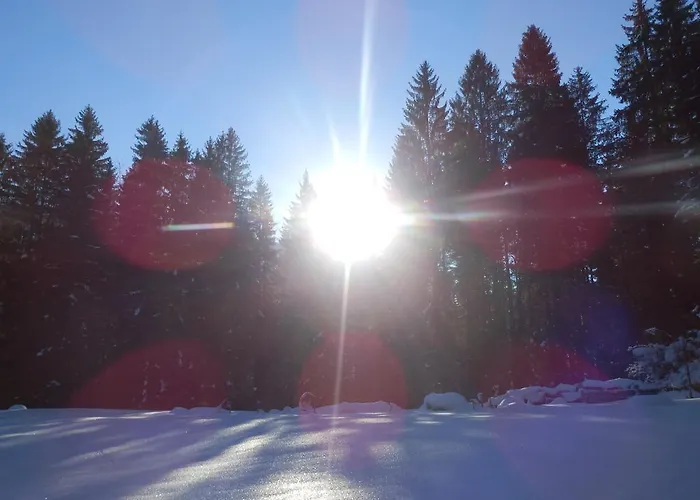 Apartament Saalachtal Lofer